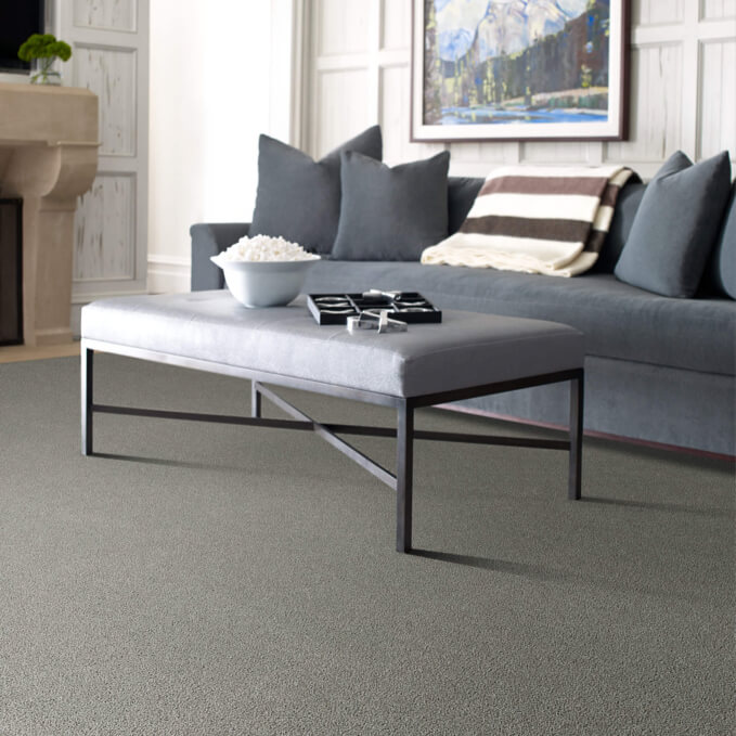 Carpet in living room | Luna Flooring Gallery in Chicagoland, Oakbrook Terrace, Deerfield, Kildeer, and Naperville, IL