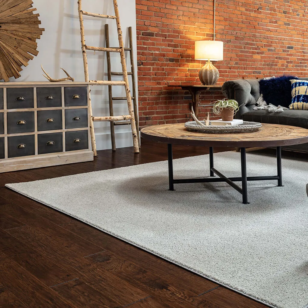 area-rug-1 area-rug-1